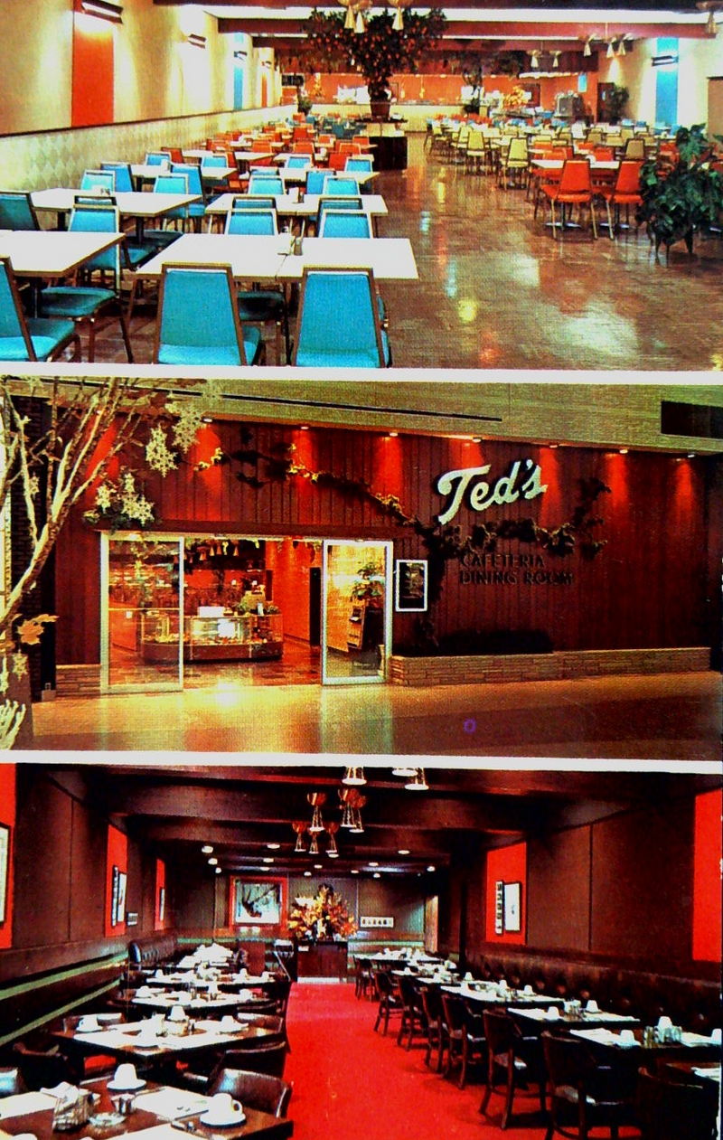 Teds Drive-In - Old Postcard